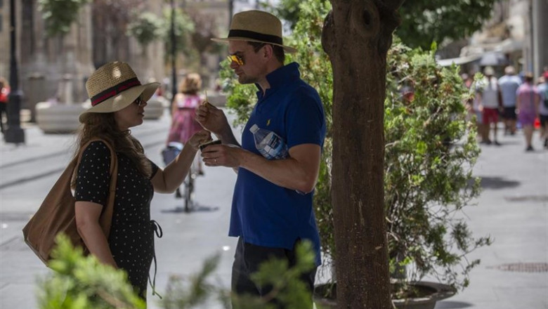 Pareja de turistas toman un helado bajo la sombra de un árbol en la Avendia de la Constitución de Sevilla | María José López - Europa Press ep parejaturistas tomanhelado bajosombraun arbolla avendiala constitucionsevilla