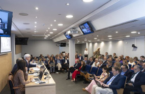 ep pleno del consejo general de la abogacia espanola