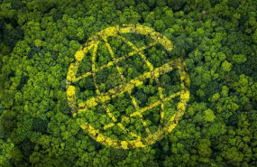 ep prosegur lanza un proyecto de compensacion de emisiones ep prosegur lanza un proyecto de compensacion de emisiones