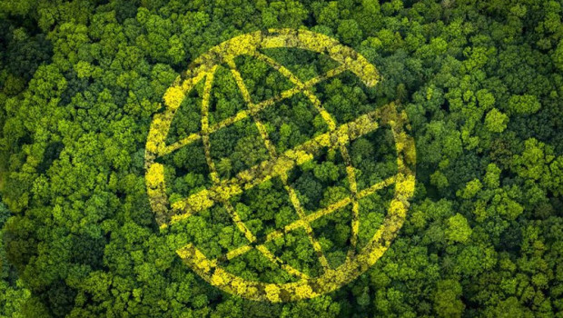 ep prosegur lanza un proyecto de compensacion de emisiones