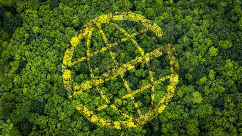 ep prosegur lanza un proyecto de compensacion de emisiones ep prosegur lanza un proyecto de compensacion de emisiones