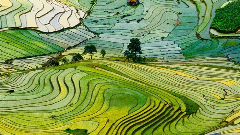 Sapa, Vietnam | CEDIDA - Archivo ep sapa vietnam