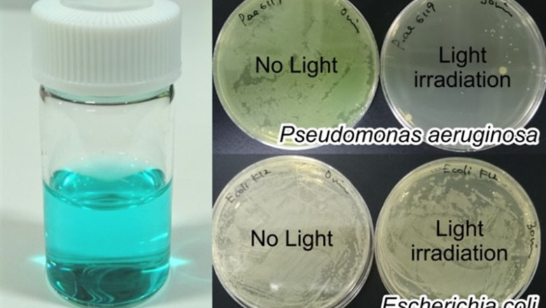 Una solución del sistema de adquisición HasA con ftalocianina de galio (Izq) y los resultados de la esterilización de Pseudomonas aeruginosa y Escherichia coli tratadas con ftalocianina de galio ligada a HasA irradiación con luz infrarroja cercana (Der) | OSAMI SHOJI ep una solucion del sistema de adquisicion hasa con ftalocianina de galio izq y los resultados de la