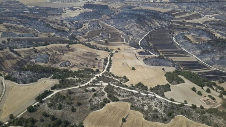 Zona que ha ardido en el incendio de Perdiguera y Leciñena (Zaragoza). | GOBIERNO DE ARAGÓN ep zonaha ardidoincendioperdigueralecinena zaragoza