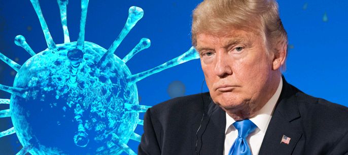 cbtrump 29083322