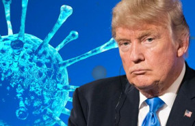 cbtrump 29083322