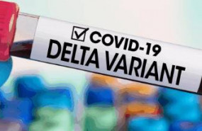delta portada