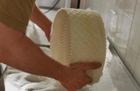 ep archivo   imagen del proceso de elaboracion de los quesos