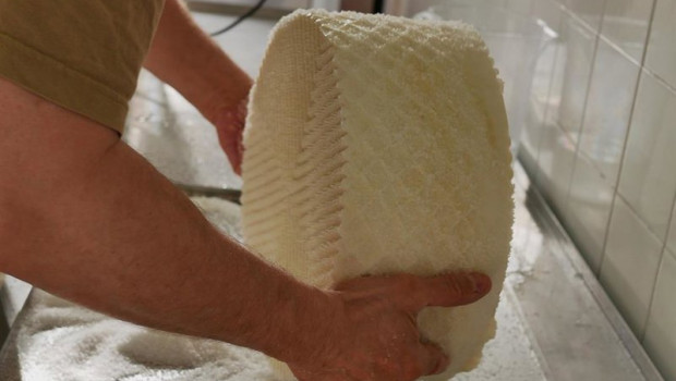 ep archivo   imagen del proceso de elaboracion de los quesos