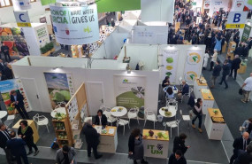 ep archivo stand de la region de murcia en la fruit logistica de berlin ep archivo stand de la region de murcia en la fruit logistica de berlin