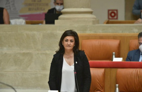 ep concha andreu en el parlamento de la rioja