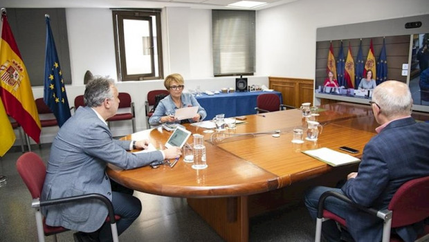 ep el presidente de canarias angel victor torres en una reunion telematica con la ministra de