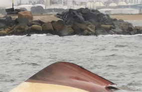 ep imagen del pesquero hundido en punta umbria