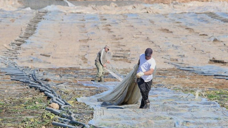 Invernaderos en Nijar (Almería) afectado por el temporal Gloria. Almería a 30 de enero del 2020. | Rafael González - Europa Press - Archivo ep invernaderos en nijar almeria afectado por el temporal gloria almeria a 30 de enero del 2020