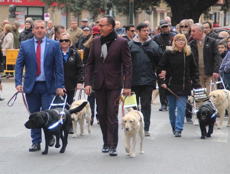 ep invidentes pasean con sus perros guias