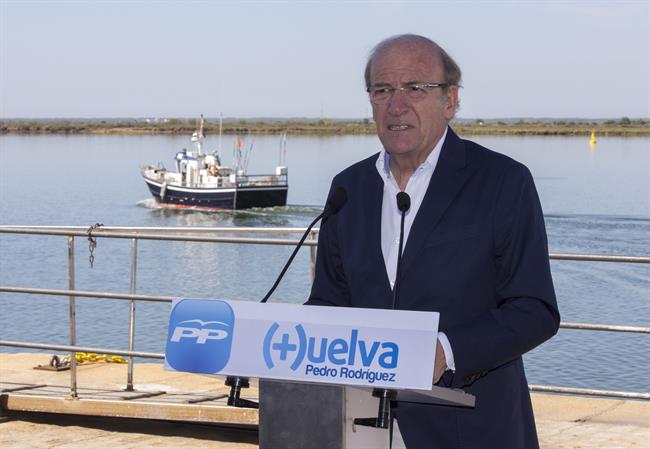 Pedro Rodríguez. | EUROPA PRESS/PP - Archivo ep pedro rodriguez