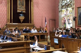 ep votacion duranteplenoconsellmallorca